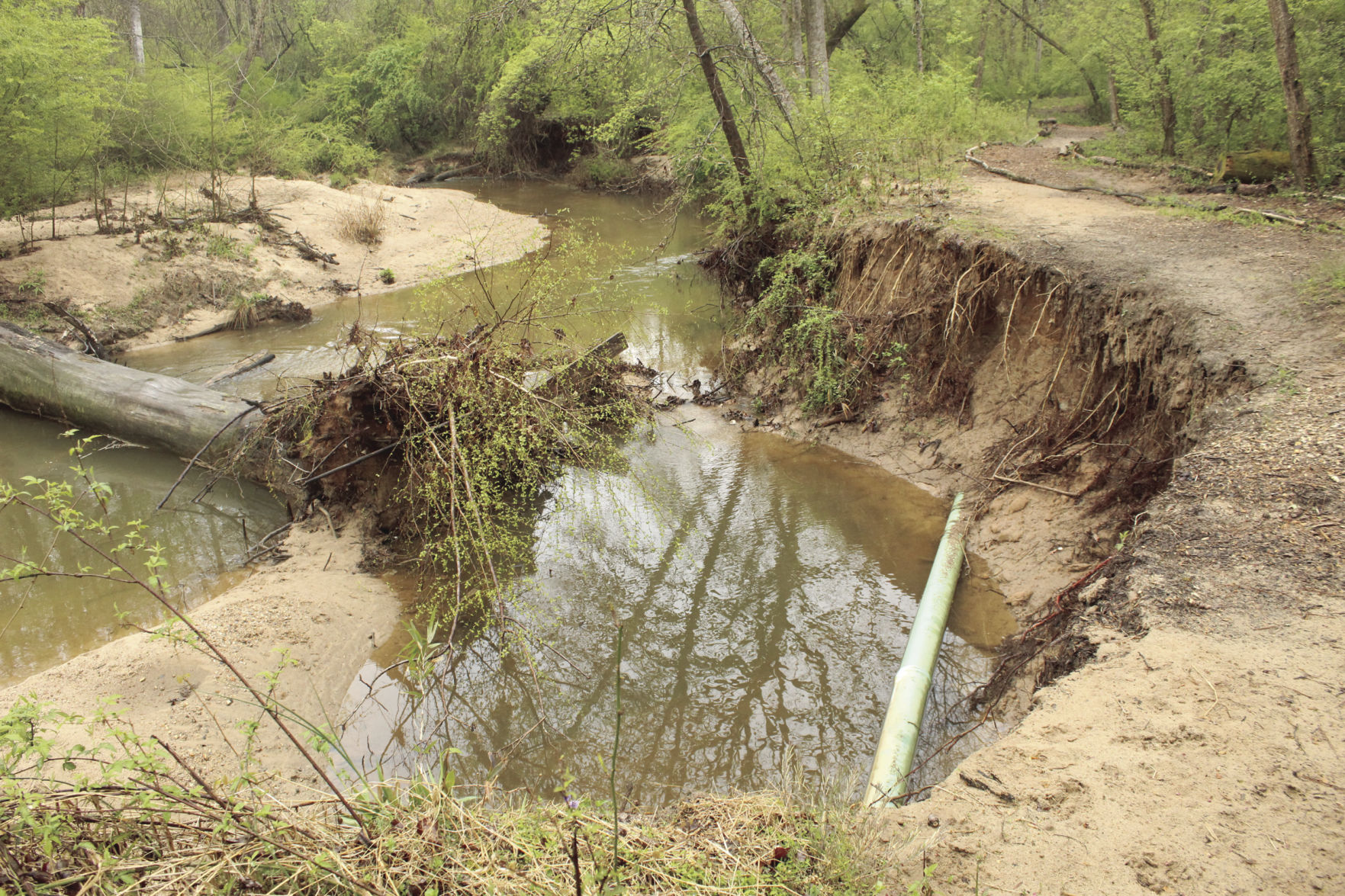 Johns Creek erosion